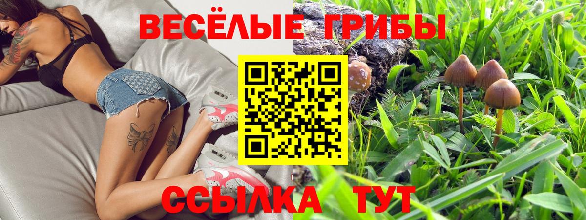 Псилоцибиновые грибы прущие грибы  Псилоцибиновые грибы мухоморы  Реутов  Вход с VPN 